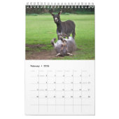 Donkeysカレンダー2025 カレンダー (2月 2026)