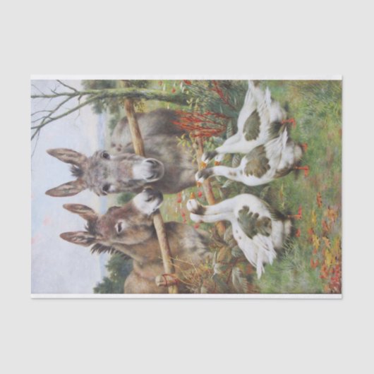 Donkeys and Geese Farm Friends by Herbert Weekes 薄葉紙 (正面)