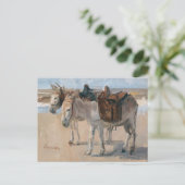 Donkeys at the Beach Postcard シーズンポストカード (スタンド正面)