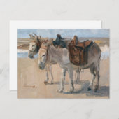 Donkeys at the Beach Postcard シーズンポストカード (正面/裏面)
