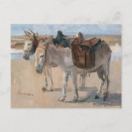 Donkeys at the Beach Postcard シーズンポストカード