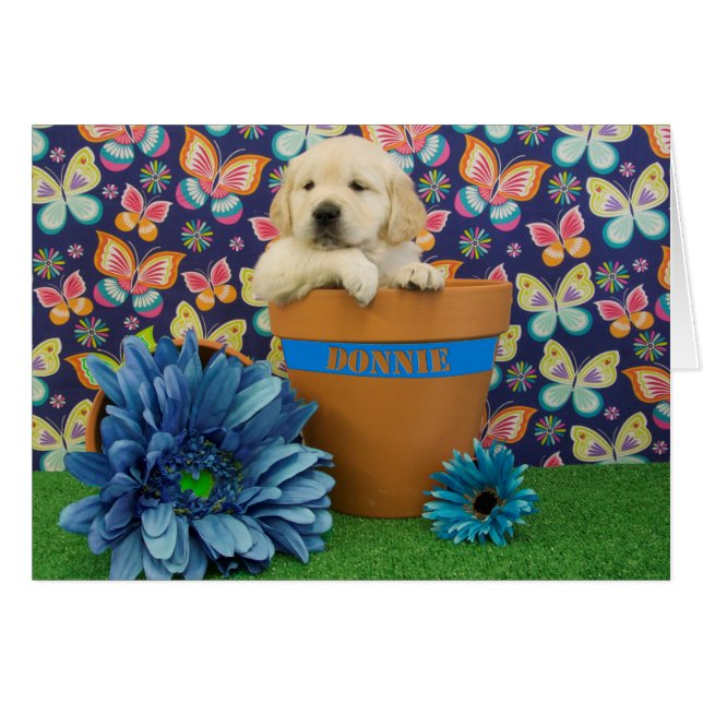 Donnieの週5の写真 (正面横)