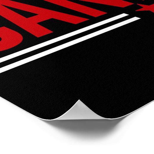 Don't Blame Me I Voted For The Qualified Candidate ポスター (角)