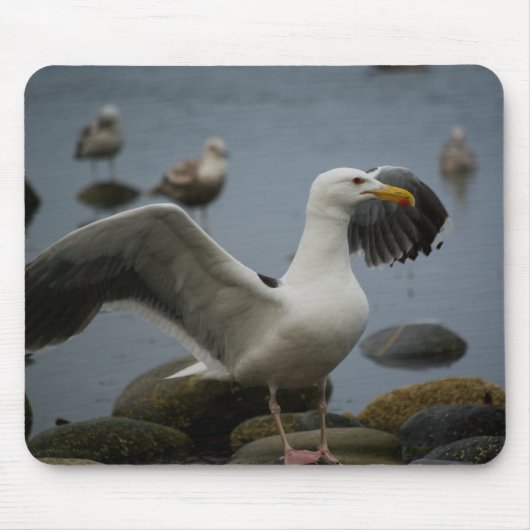 Don't Detrobeマウスパッド マウスパッド (正面)