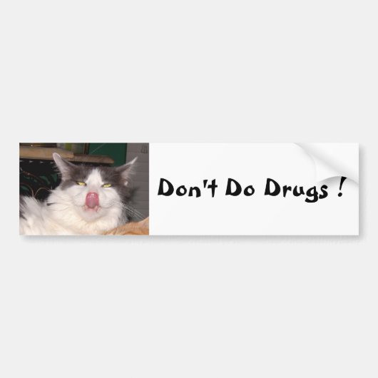 Don't Do Cat 風変わり Bumperステッカー バンパーステッカー (正面)