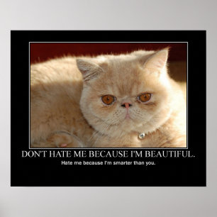 Don't Hate Me...Cat Artwork Funny ポスター