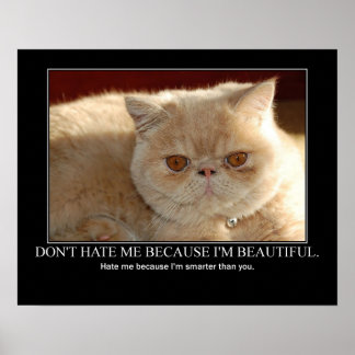 Don't Hate Me...Cat Artwork Funny ポスター