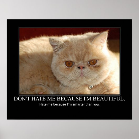 Don't Hate Me...Cat Artwork Funny ポスター (正面)