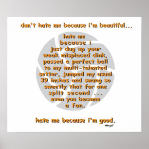 Don't Hate Me VOLLEYBALL ポスター