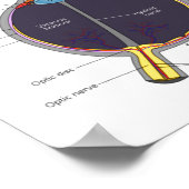 Dont Ke Me In The Eye Eye Anatomy Attitude  ポスター (角)