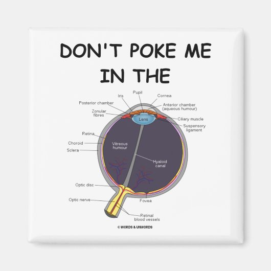 Dont Ke Me In The Eye Eye Anatomy Attitude  マグネット (正面)