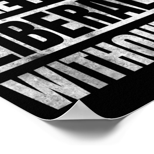 Don't Make Fun Of Liberals Without Me  ポスター (角)