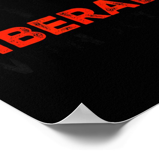 Don't Make Fun Of Liberals Without Me Funny Litica ポスター (角)