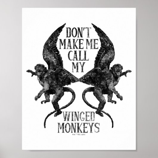 Dont Make Me Call My Winged Monkeys  ポスター (正面)