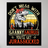Don't Mess With Grannysaurus You'll Get Jurkicked ポスター (正面)