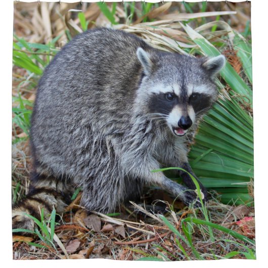 Don't Mind Me, Just Passing Through シャワーカーテン (正面)