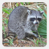 Don't Mind Me, Just Passing Through スクエアシール (正面)