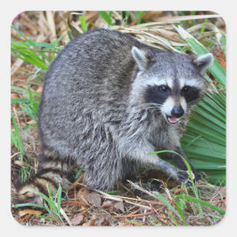 Don't Mind Me, Just Passing Through スクエアシール