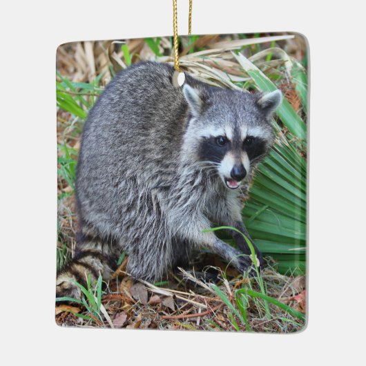 Don't Mind Me, Just Passing Through セラミックオーナメント (左)