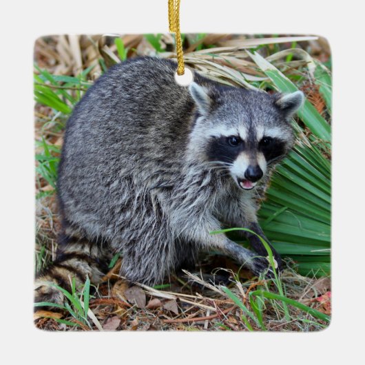 Don't Mind Me, Just Passing Through セラミックオーナメント (正面)