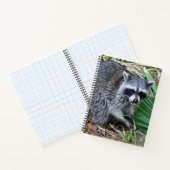 Don't Mind Me, Just Passing Through ノートブック (内部)