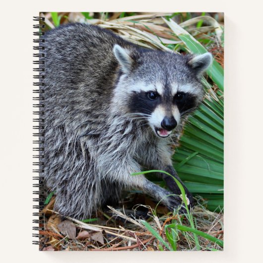 Don't Mind Me, Just Passing Through ノートブック (正面)