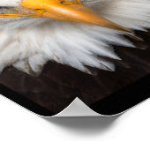 Dont Play With Angry Eagle ポスター (角)