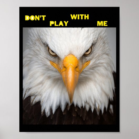 Dont Play With Angry Eagle ポスター (正面)