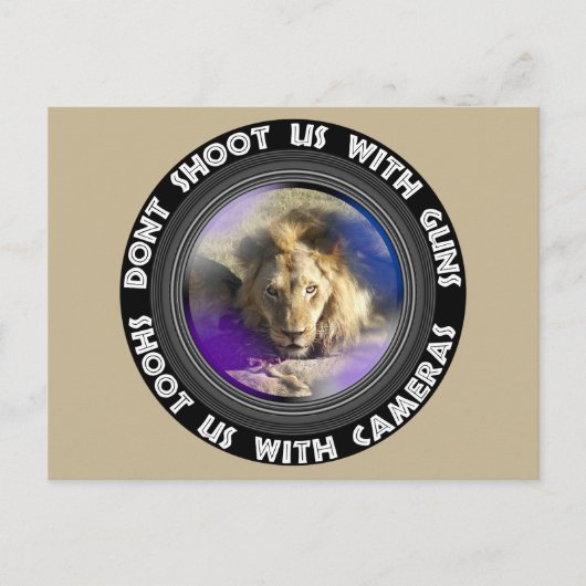 Dont Shoot Us野生動物保護ライオンスタータル シーズンポストカード (正面)