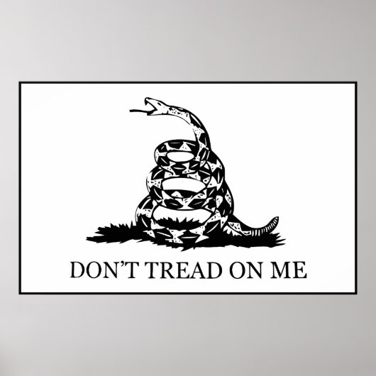 Don't Tread On Me Flag ポスター (正面)