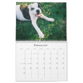 Dooの都市衝突 カレンダー (2月 2027)