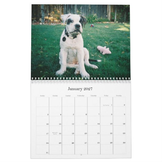 Dooの都市衝突 カレンダー (1月 2027)