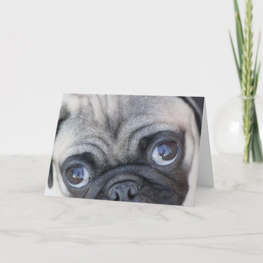 Doobieの目 カード (正面)