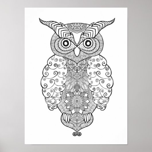Doodle Owl 2 ポスター (正面)