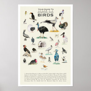 Doofy Birds 11x17ポスター ポスター