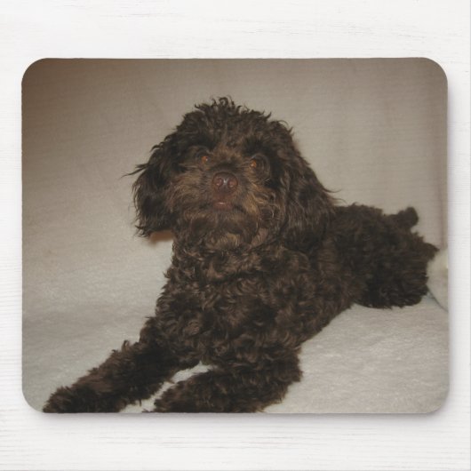 doogyのmousepad マウスパッド (正面)