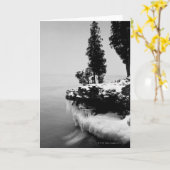 Door郡、ウィスコンシン カード (黄色い花)