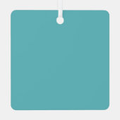 Door County Postcard Map Ornament メタルオーナメント (裏面)