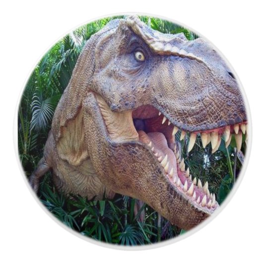 Door Knob Dinosaur セラミックノブ (正面)