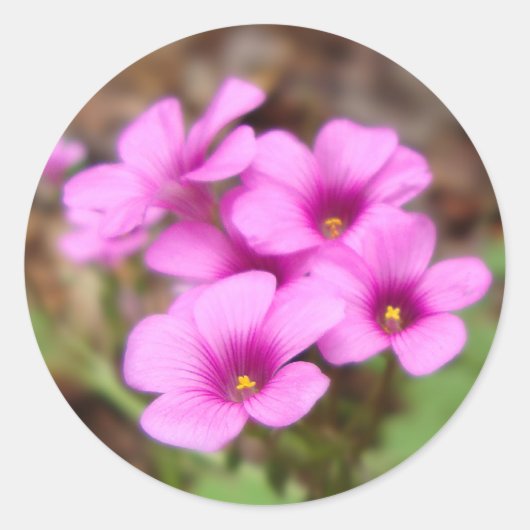 Doorstepスタンプで ラウンドシール (正面)