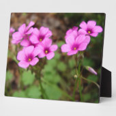 Doorstepフォトプラークに フォトプラーク (側面)