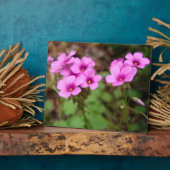 Doorstepフォトプラークに フォトプラーク (側面)