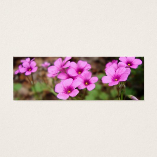 Doorstepブックマーク (正面)