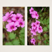 Doorstepブックマーク (正面&裏面)