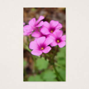 Doorstepブックマーク