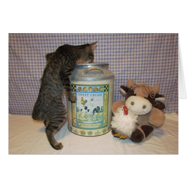 Dora -精選品 (正面横)