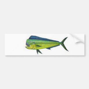Dorado バンパーステッカー