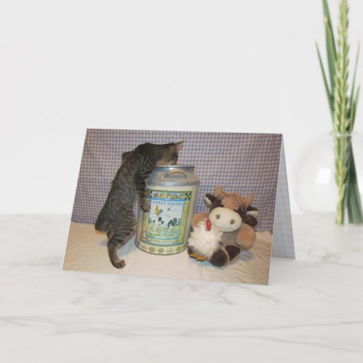 Dora's Birthday Party - Cat / Kitten誕生日カード カード (正面)