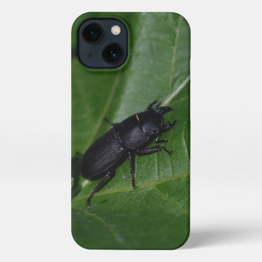 Dorcus parallelipipedus , the lesser stag beetle iPhoneケース (裏面)