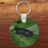 Dorcus paralllipipedus 、レッサークワッド キーホルダー (裏面)